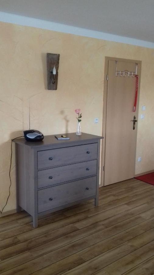 Haus Am Park Apartment Thallwitz Ngoại thất bức ảnh